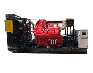 Газовый генератор CTG 1000CG