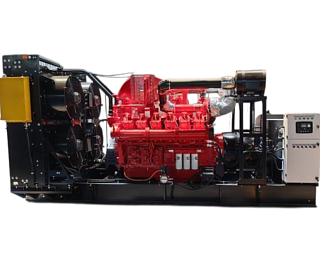 Газовый генератор CTG 1000CG