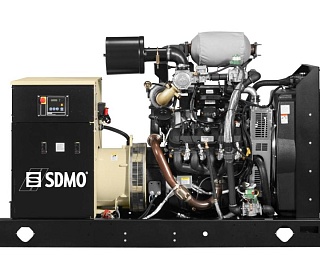 Газовый генератор SDMO NEVADA GZ250