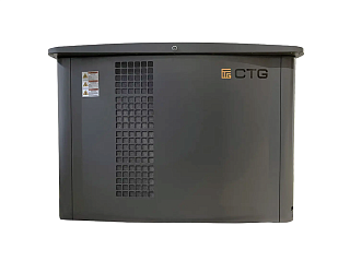 Газовый генератор CTG CG17000TSA