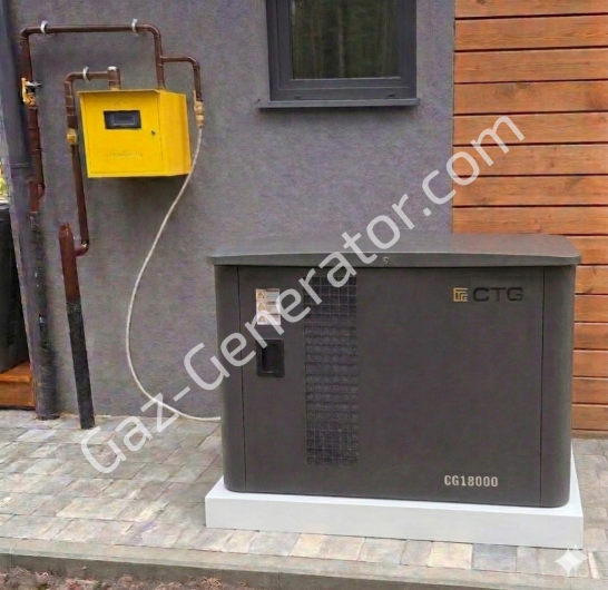 Фото Пусконаладка газового генератора CTG CG18000SA 