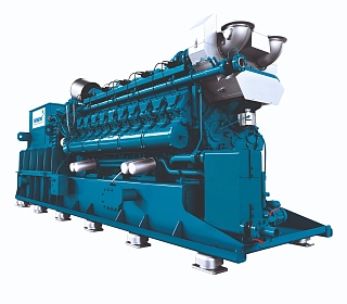 Газовый генератор CTG 1000MG