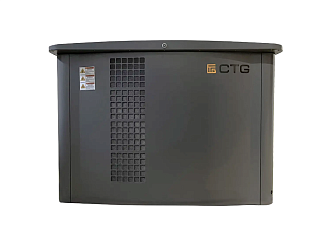 Газовый генератор CTG CG17000SA