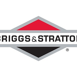 Ремонт двигателя Briggs&Stratton I/C 6,5
