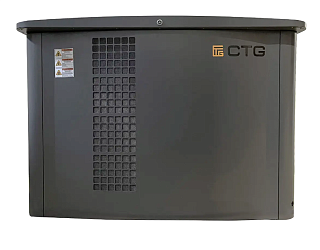 Газовый генератор CTG CG17000SA