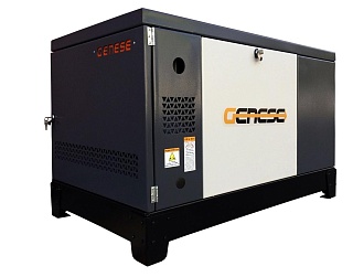 Газовый генератор Genese Standard 12000 Neva в кожухе