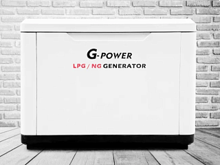 Газовый генератор G-power SL11000WSE3