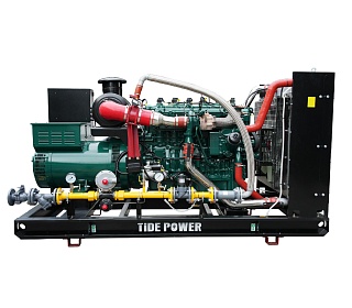 Газовый генератор Tide Power TLP563G