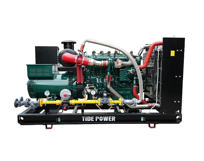 Газовый генератор Tide Power TLP563G