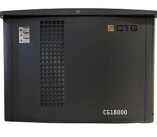 Газовый генератор CTG CG18000SA