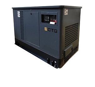 Газовый генератор CTG CU35000TSA
