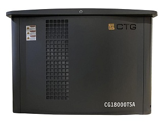 Газовый генератор CTG CG18000TSA